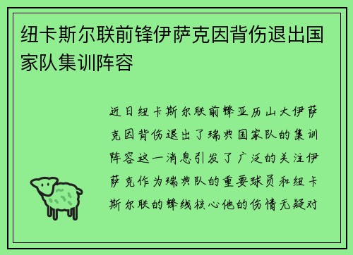 纽卡斯尔联前锋伊萨克因背伤退出国家队集训阵容